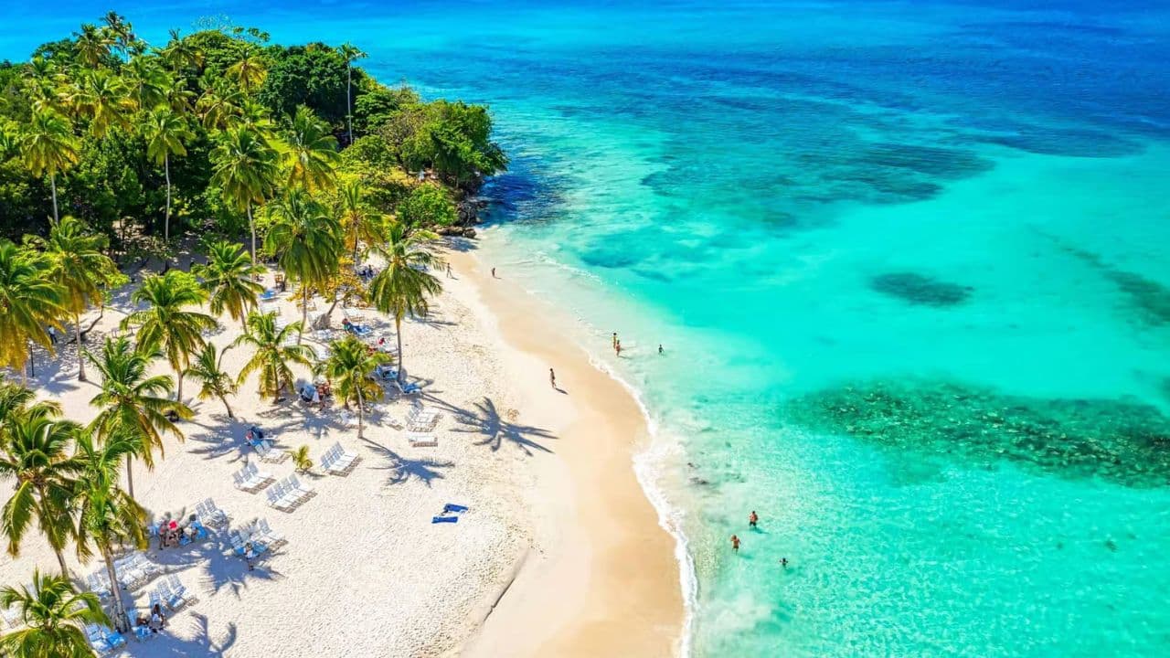 Samana: City Tour + Whale Watching + Cayo Levantado