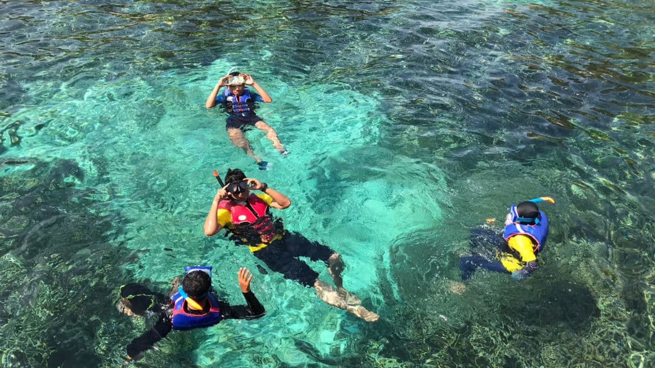 Catamaran Tour to Saona Island: Lunch & Open Bar Experience