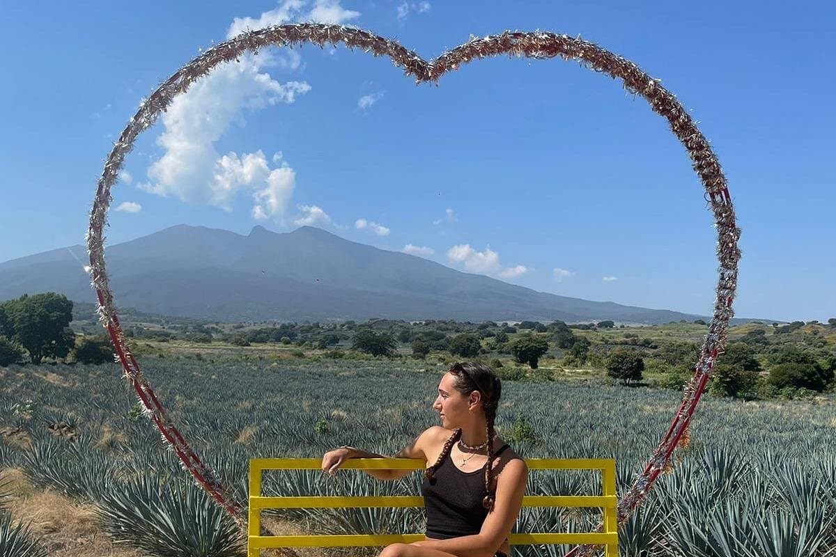 Full-Day Tour in Tequila factory and Cantaritos el Gúero