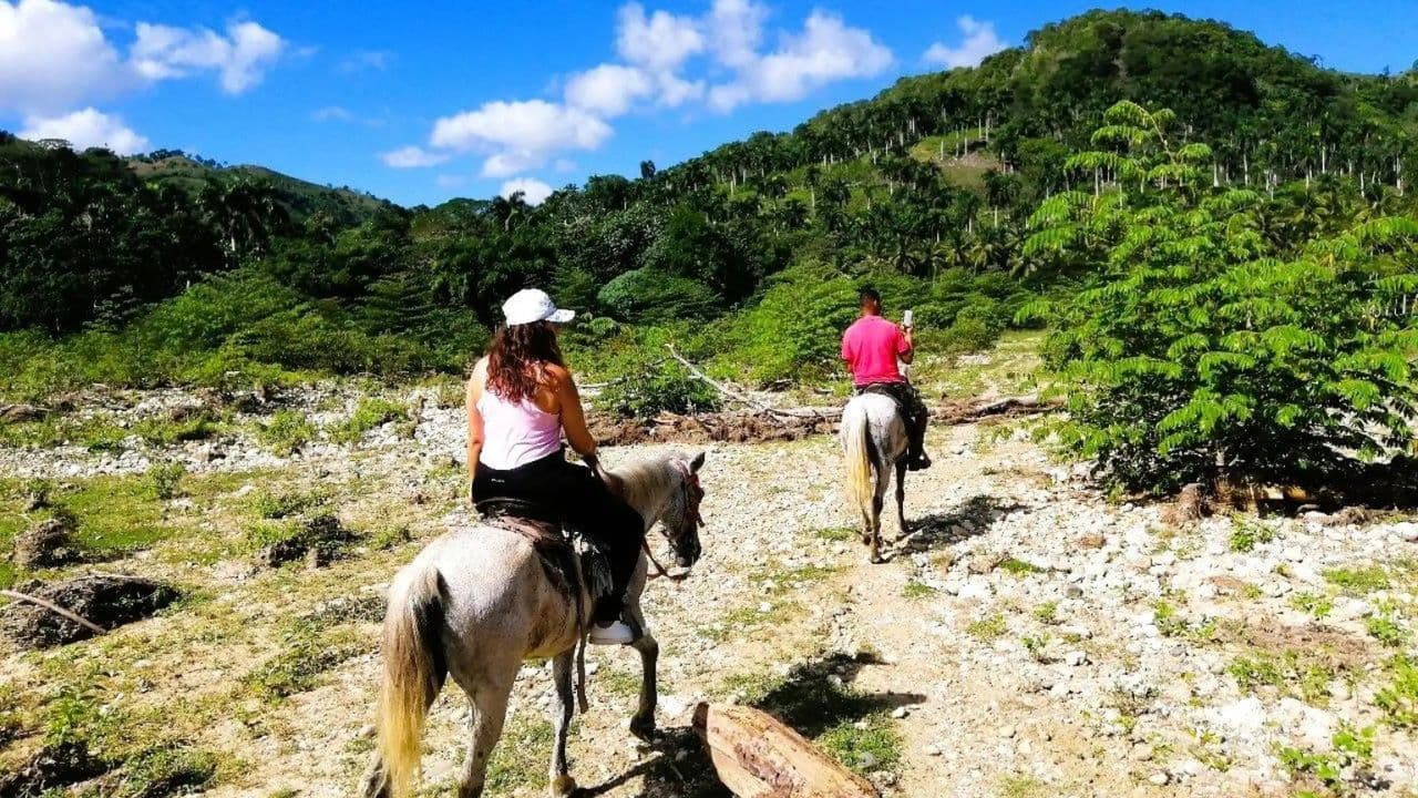 From Puerto Plata: Horseback ride along the mountain river