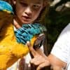 Dolphin Encounter for Dominican Residents