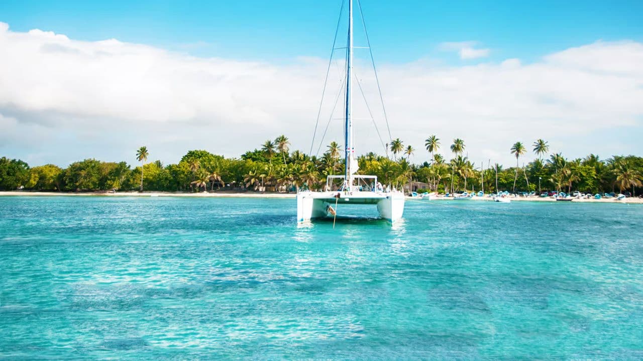 Saona Island Private: Speedboat Tour from Punta Cana