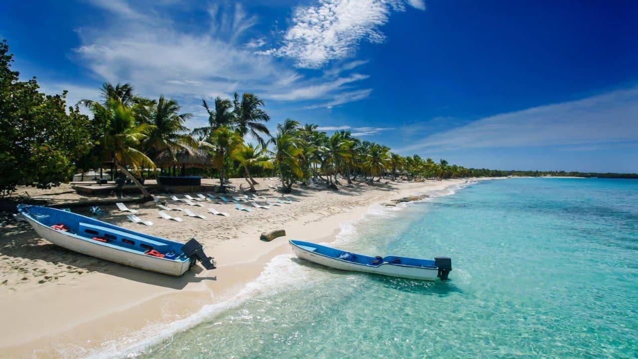 Punta Cana: Full-Day Snorkeling Tour to Catalina Island