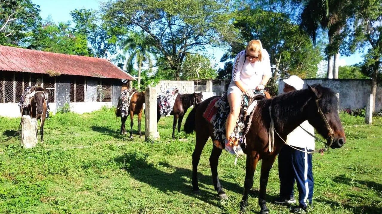 From Puerto Plata: Horseback ride along the mountain river