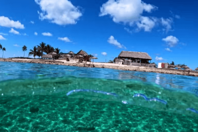 Snorkelling at Coral Beach + Saturn Cave