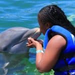 Dolphin Swim in Punta Cana – Best 60-min Dolphin Discovery