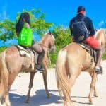 Punta Cana: Half-Day ATV or Buggy and Horseback Riding
