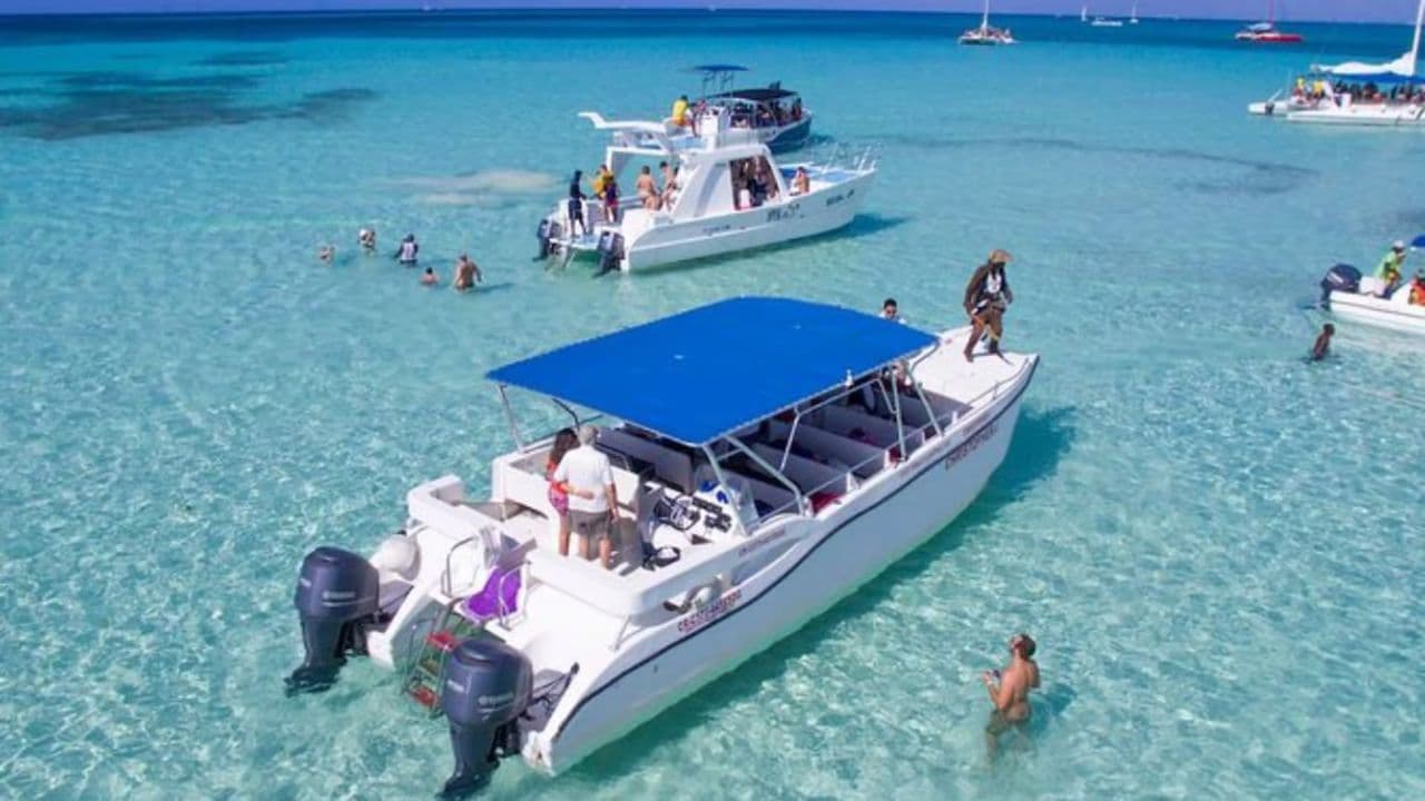 Punta Cana: Saona Island Full Day With Catamaran and Buffet