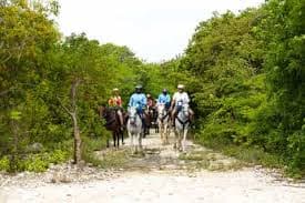 From Bávaro: Higüey Tour with Ranch Horse Ride and Lunch
