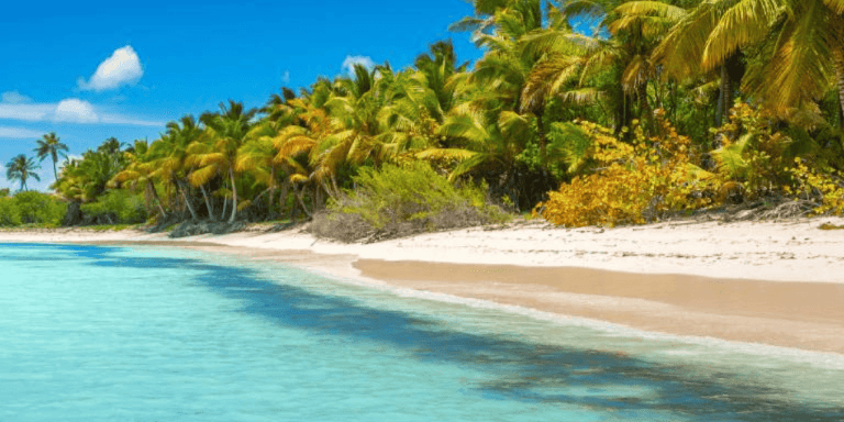 Punta Cana: Saona Island Catamaran Pick up Hotel