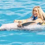 Punta Cana: Dolphin Discovery Swims and Encounters