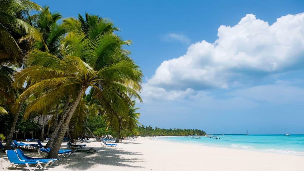 From Punta Cana: Saona Island Day Trip with Buffet Lunch