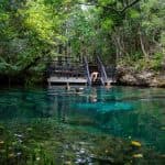 Swim in the Cenotes Ojos Indígenas