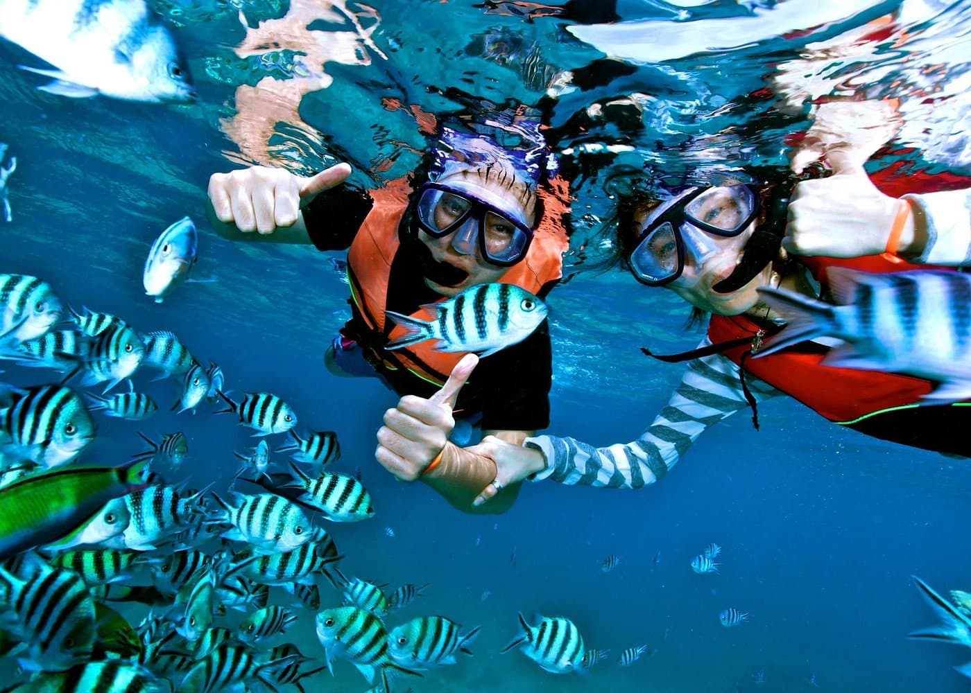 Cayo Levantado at Bacardi Island including Boat transfer, Lunch and Snorkeling