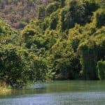 Full day buggy Safari with lunch and Chavon River Tour
