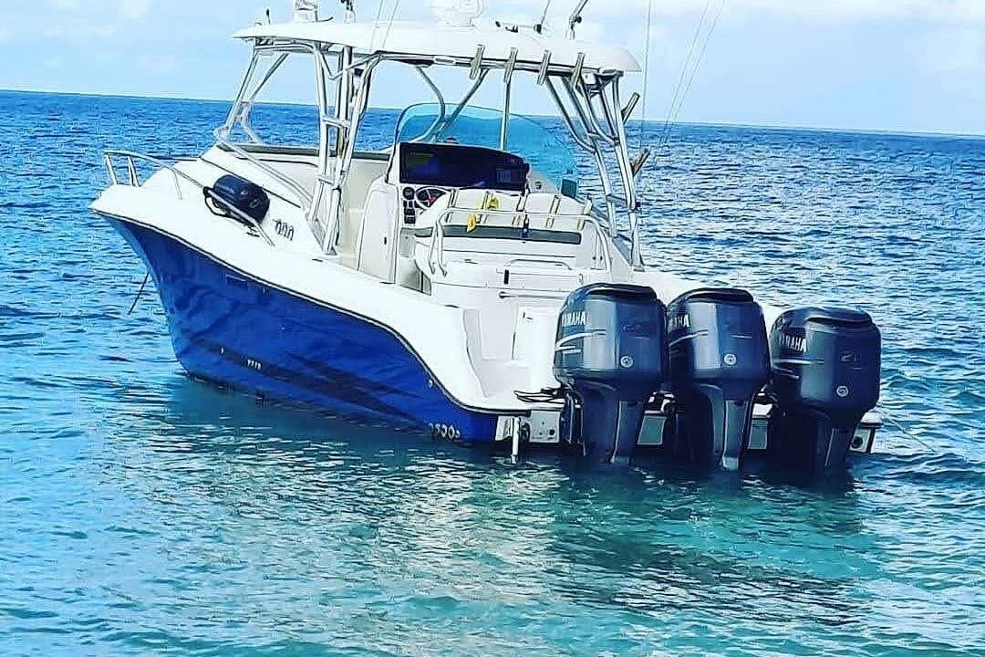 Private Tour to Cayo Icacos and Palomino Island
