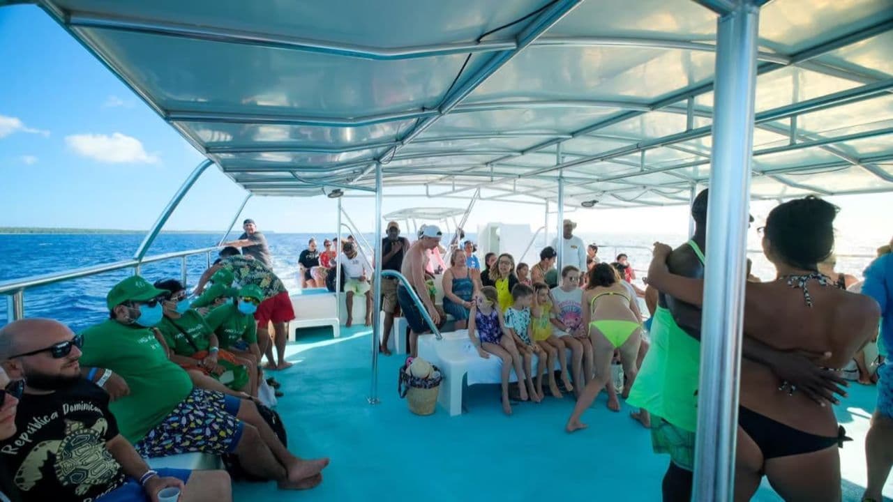 From Punta Cana: Saona Island Day Trip with Buffet Lunch