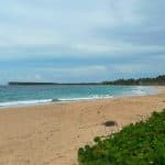 From Punta Cana: Round Mountain and Esmeralda Beach: Dream Adventure