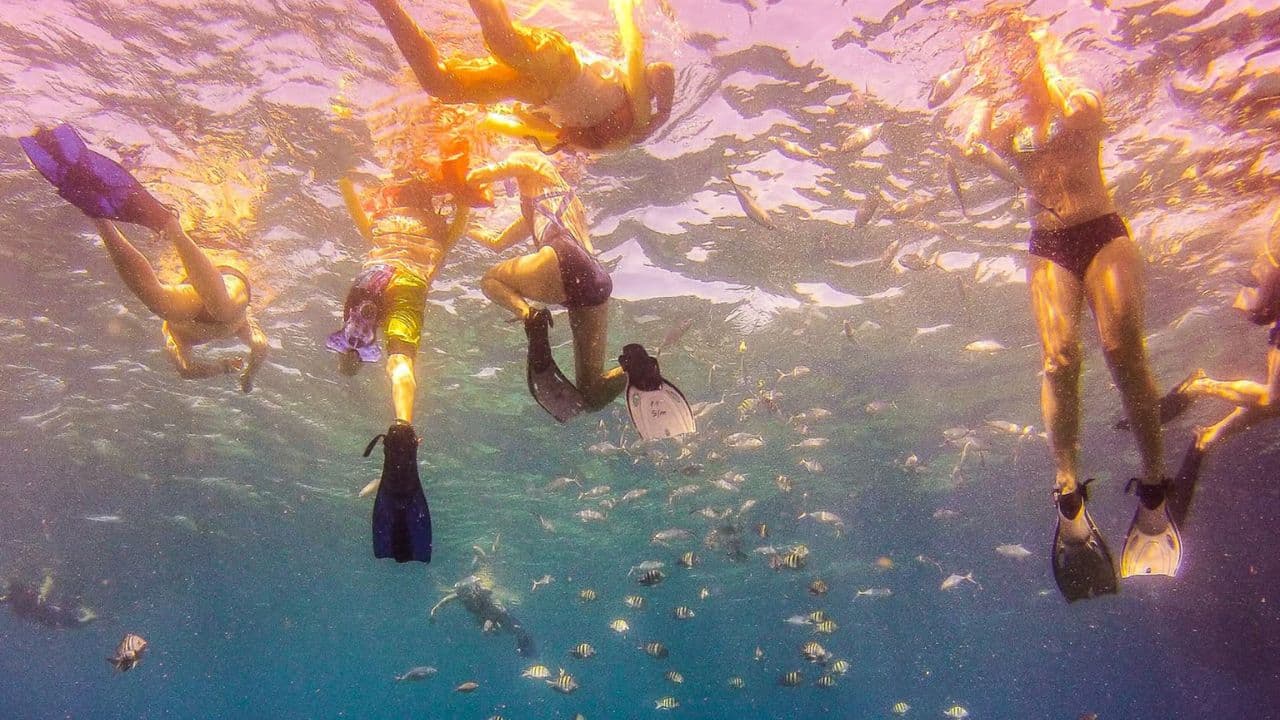 Catalina Island Tour: Boat, Beach Stay, Lunch & Free Drinks