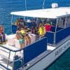 Saona Island Private +10 People