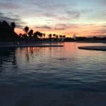 Punta Cana: Dolphin Discovery Swims and Encounters