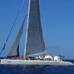 Catalina Island: Day Trip – Best Snorkeling!