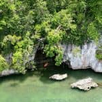 Excursion and Walking Tour with Lunch