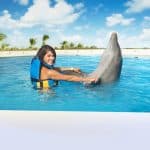 Punta Cana: Dolphin Discovery Swims and Encounters