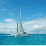 From Punta Cana: Isla Saona Full-Day Tour with Buffet Lunch
