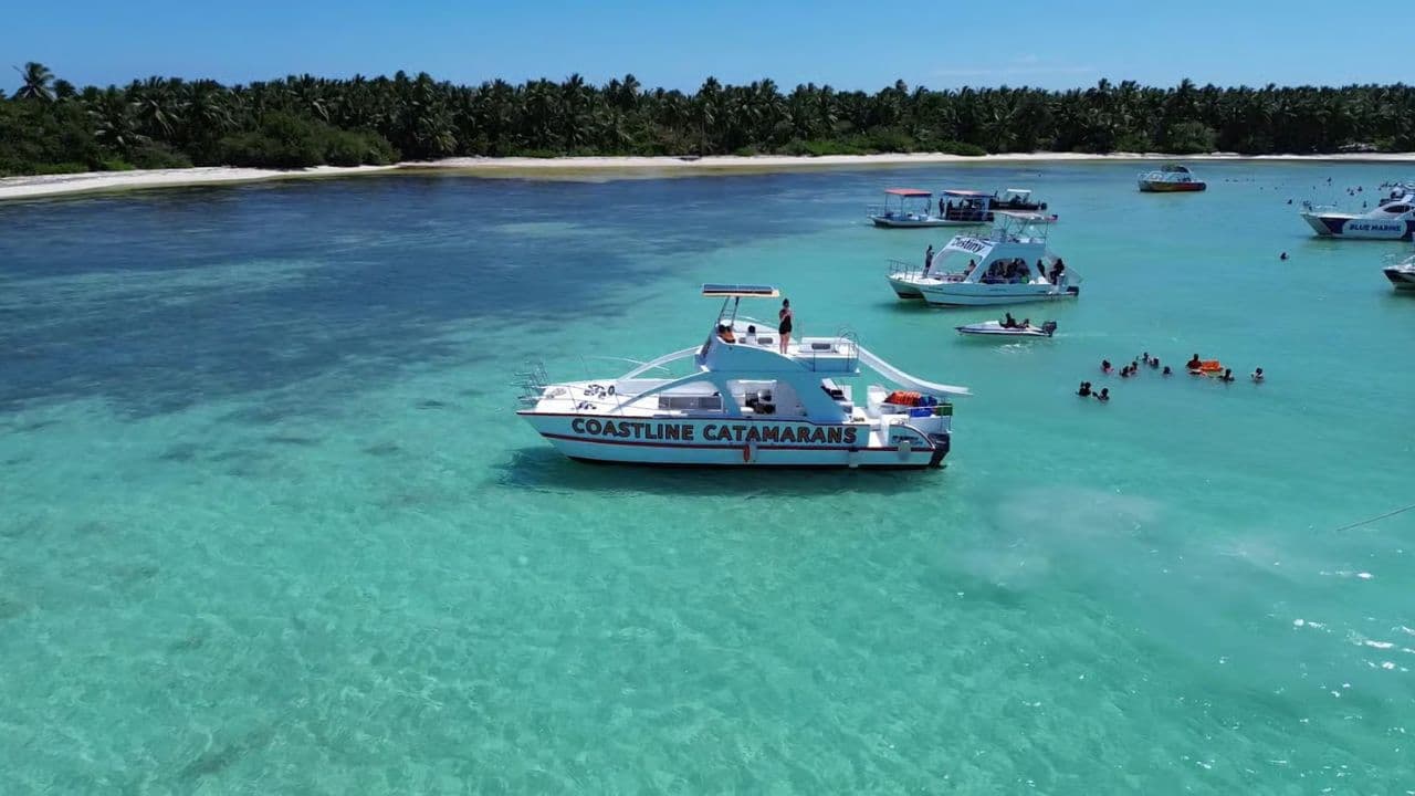 Punta Cana :Catamaran with Open Bar and Dolphin and Stingray Watching