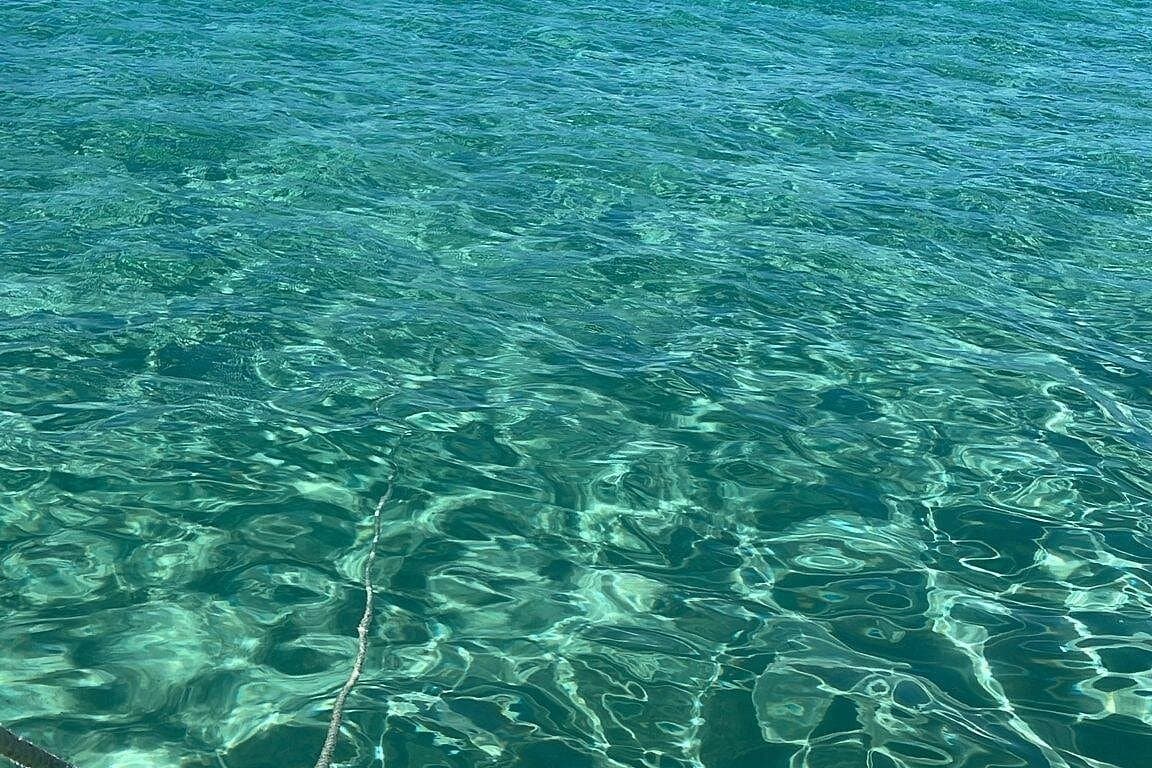 Private Tour to Cayo Icacos and Palomino Island