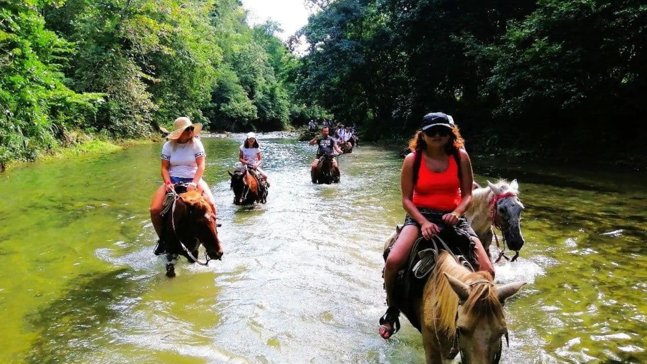 From Puerto Plata: Horseback ride along the mountain river