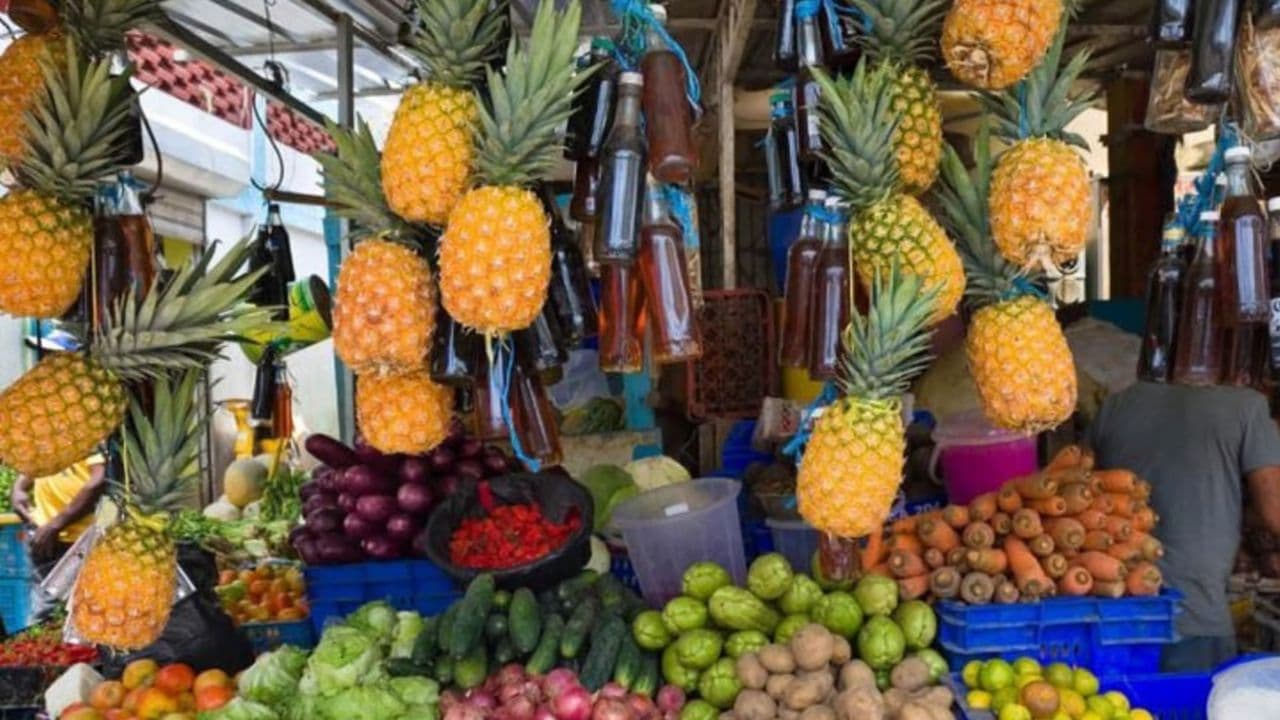 From Punta Cana: Half-Day Dominican Republic Cultural Tour