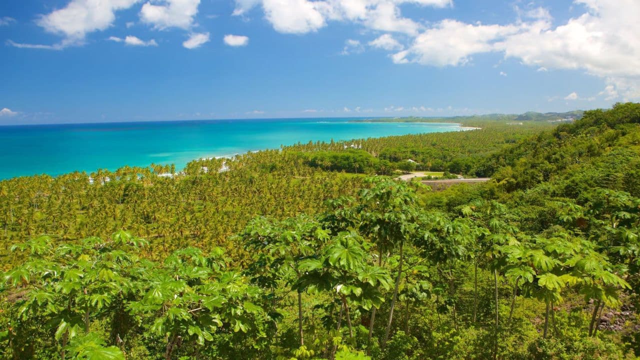 Juan Dolio: Samana, El Limon Waterfall and Cayo Levantado