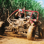 Bayahibe: Buggy tour amazing half-day