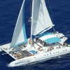 Punta Cana: Saona Island Catamaran Day Trip with Tickets and Lunch