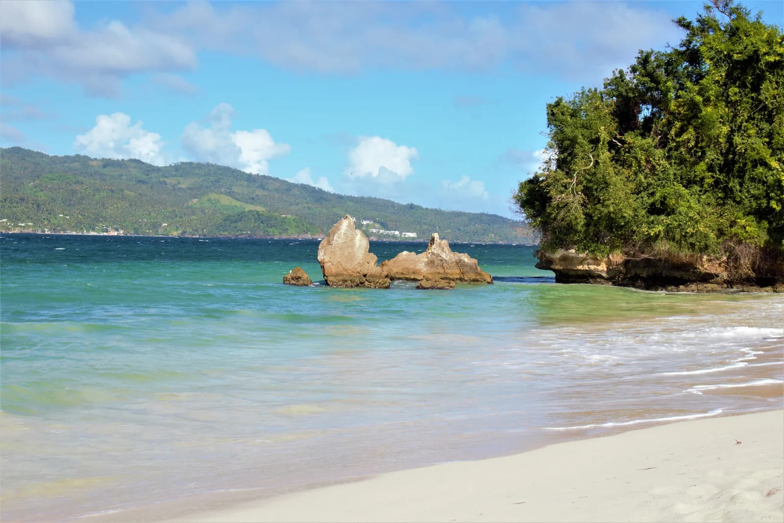 Whale Watching from Miches Hotels  and Cayo Levantado (Bacardi Island)