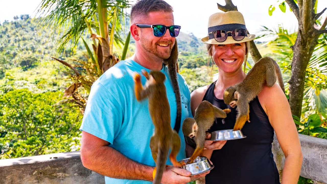 Puerto Plata: Monkeyland and Zip-Line Adventure