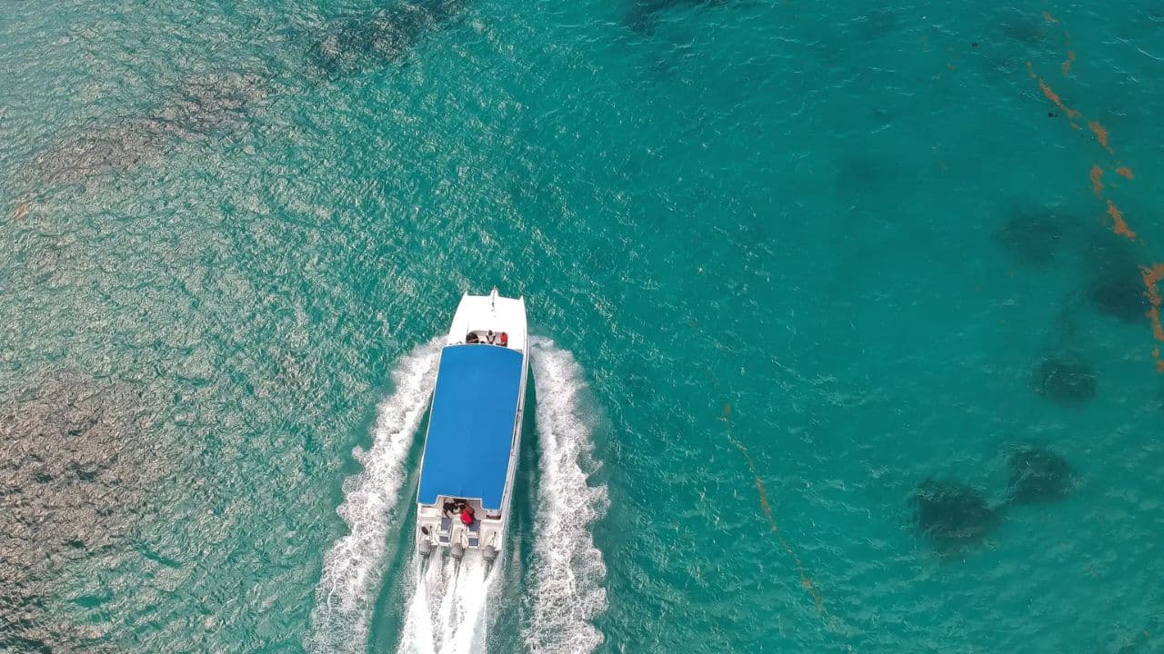 Punta Cana: Saona Island Full-Day with Buffet and Pickup