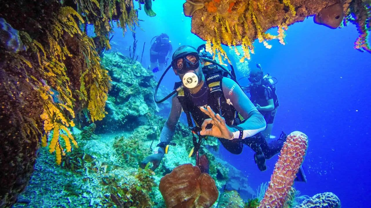 Punta Cana 40ft Recreational Diving Adventure