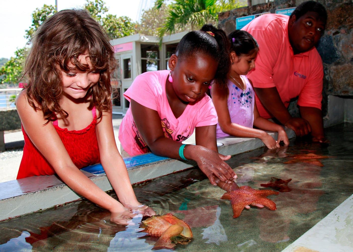 Coral World Ocean Park General Admission Ticket