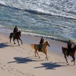 Puerto Plata: Horseback Riding on the Beach