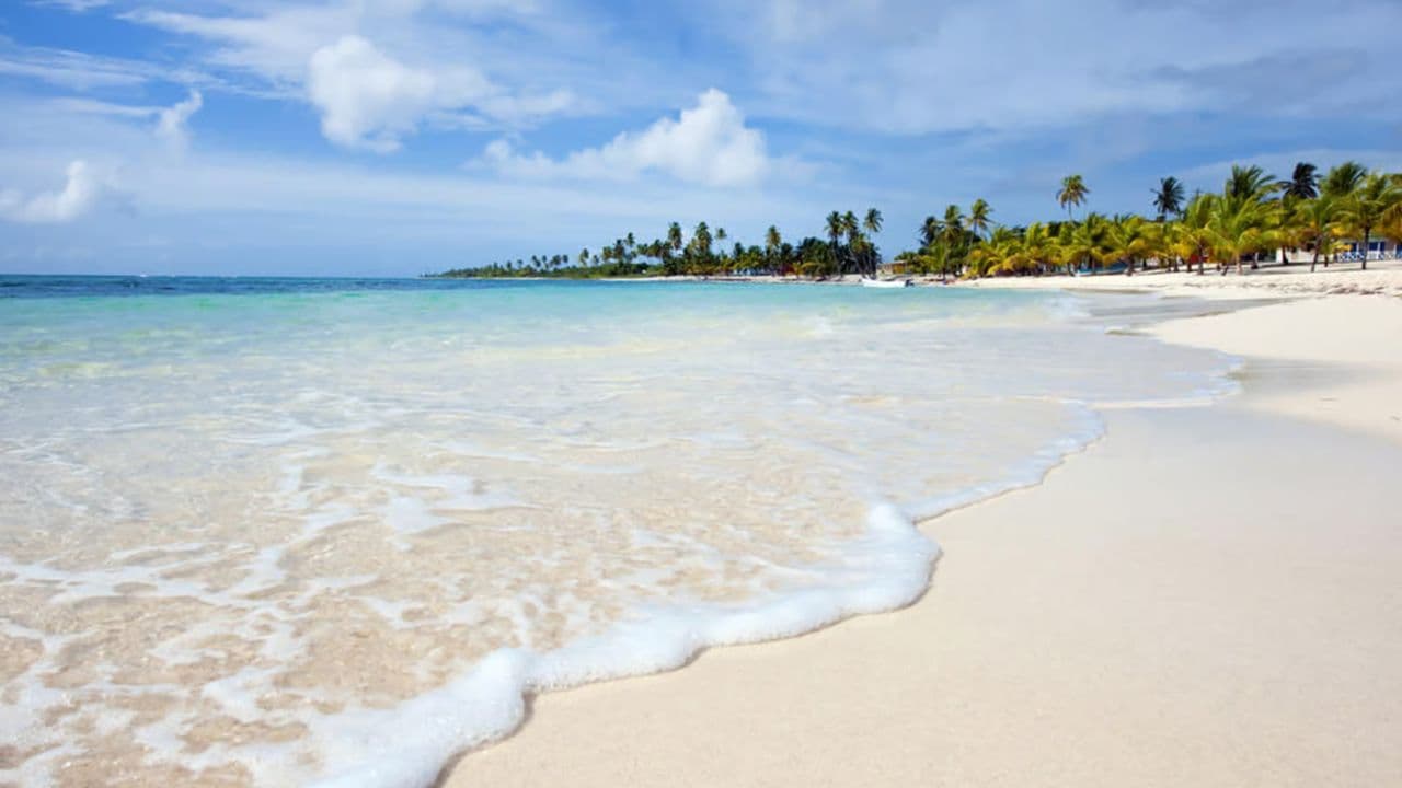 Santo Domingo: Saona Island Catamaran Tour with Lunch & Bar