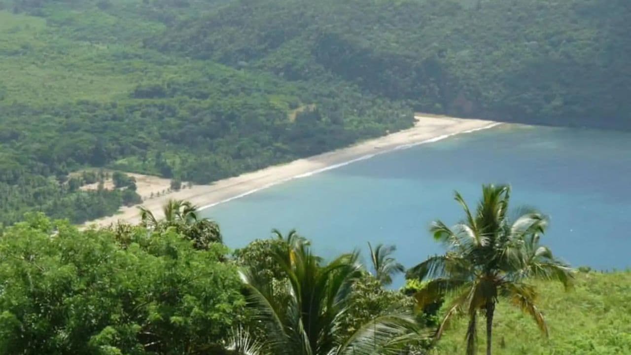 Adventure in Buggies in Playa Rincón from Samaná