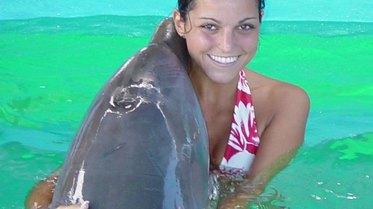 Dolphin Encounter at Ocean World, Puerto Plata