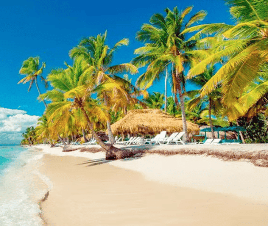 Punta Cana :Saona Island Paradise full-Day Escape
