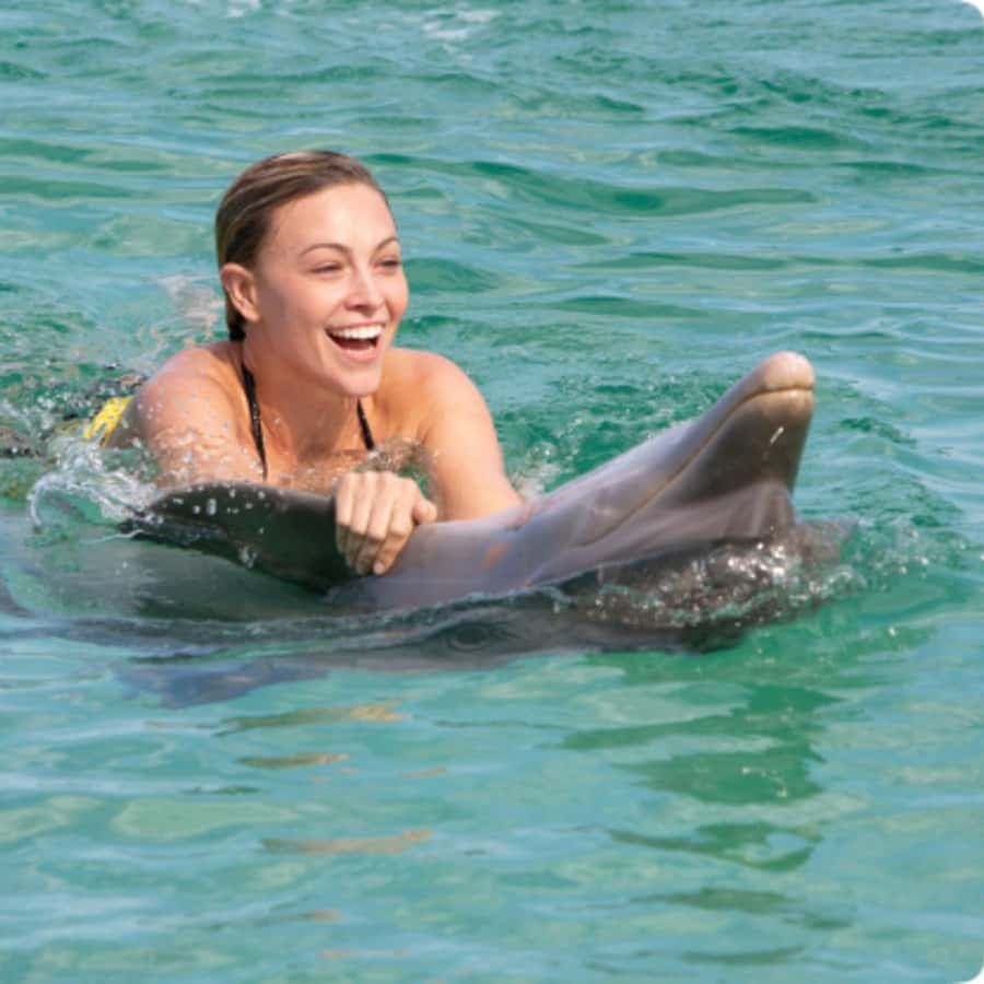 Punta Cana: Dolphin Royal Swim
