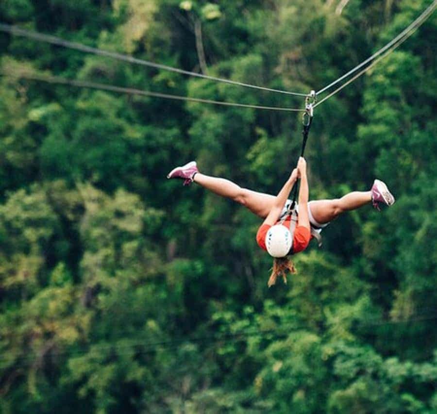 Full Pack Buggies + Horses + Zip Line + Food in Punta Cana