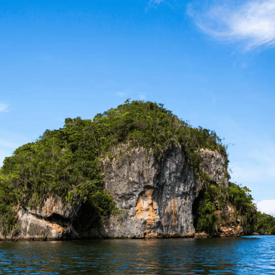Punta Cana: Whale Watching & Los Haitises Park Sailing Tour