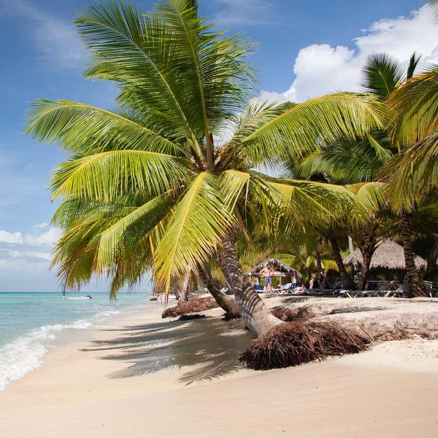 From Punta Cana: Saona Island Tour by Catamaran with Open Bar and Buffet